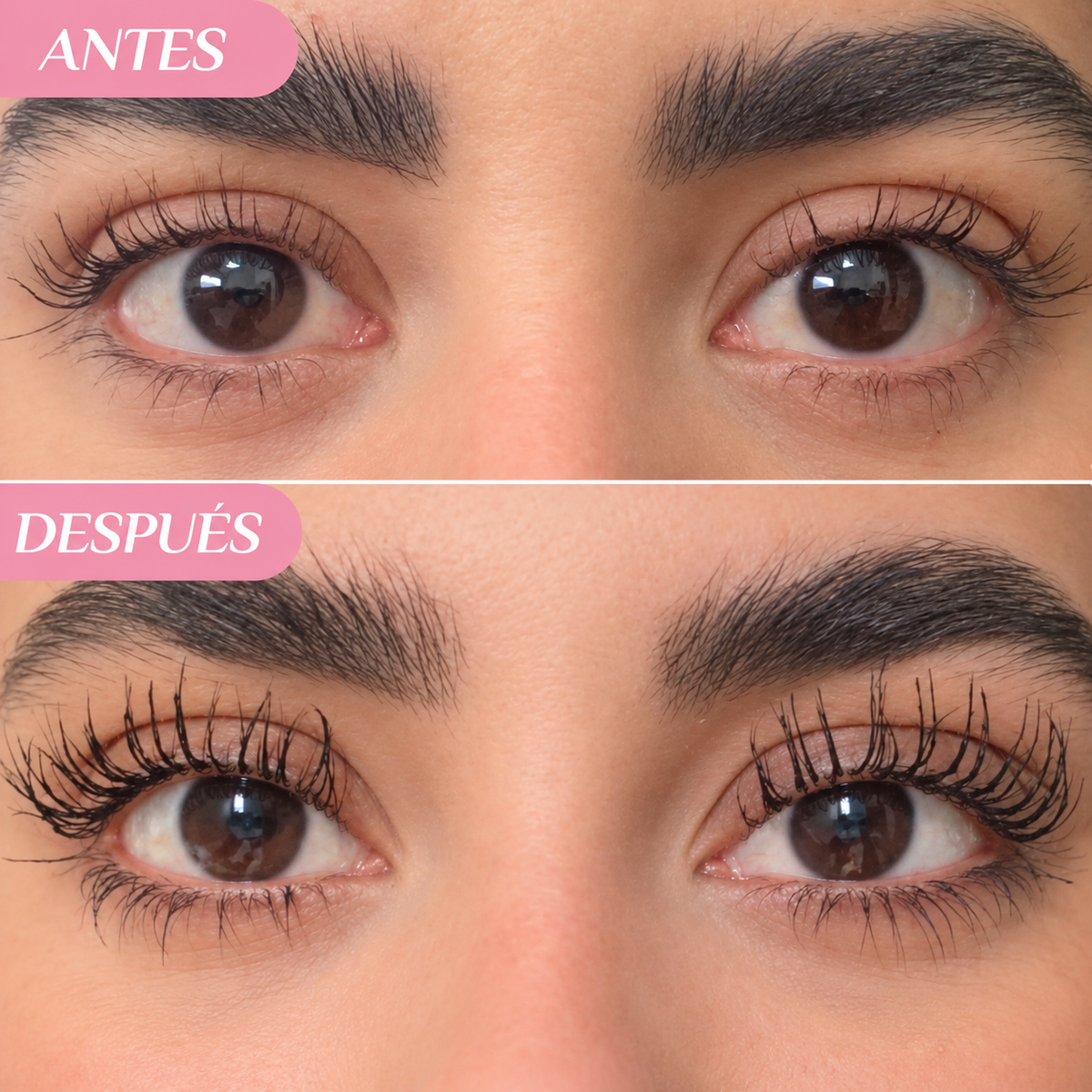 Lash Care