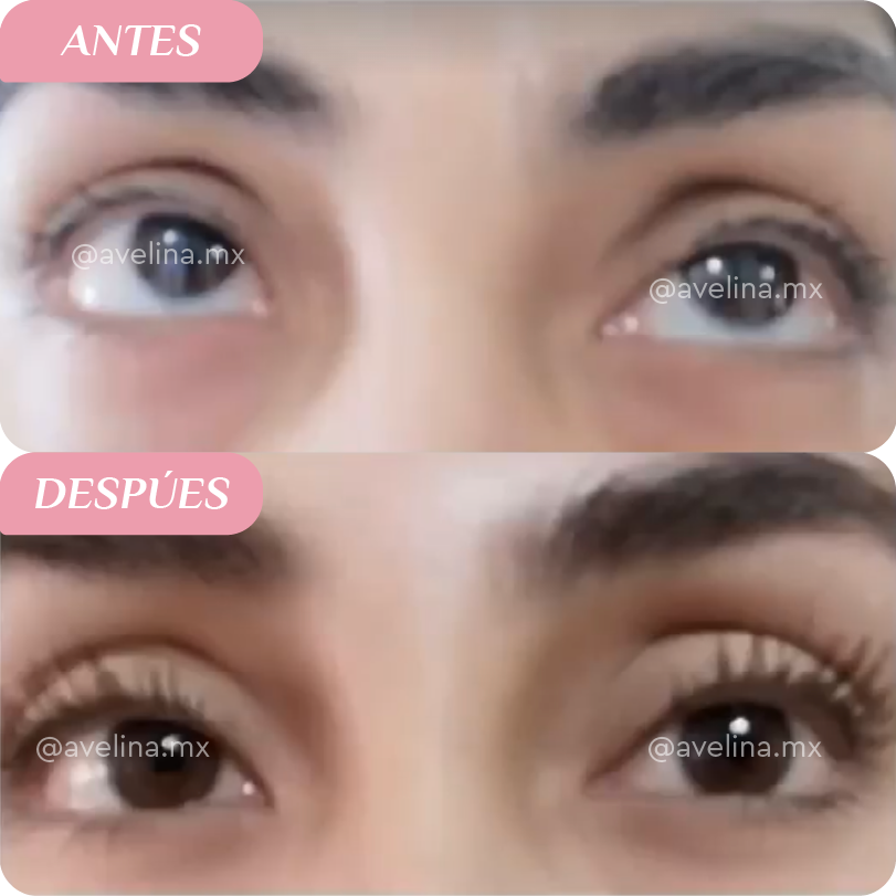 The Basics Kit BLACK FRIDAY